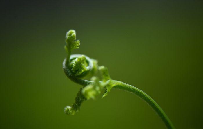 discoveredcavechina_008