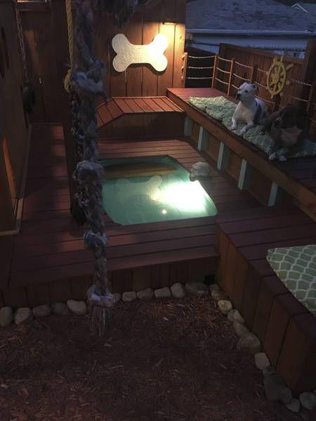 dogparadise_007 dogparadise_007