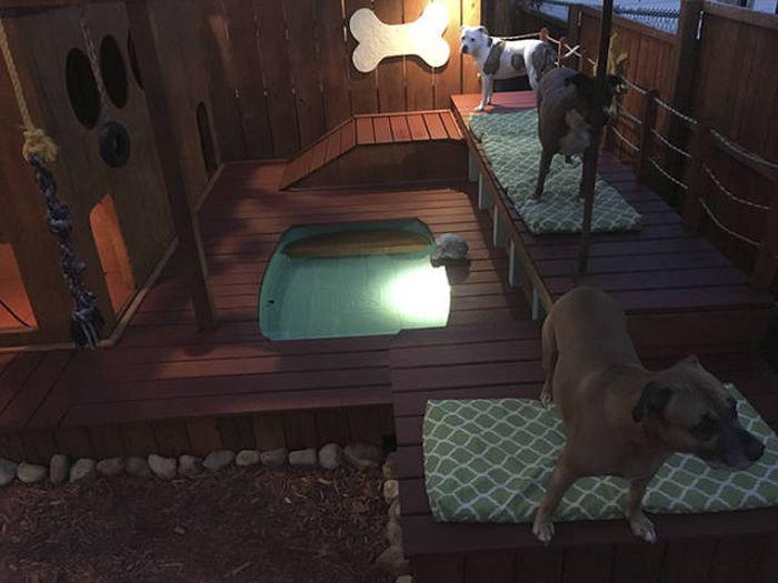 dogparadise_008 dogparadise_008