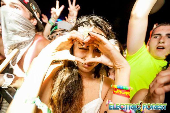 electricforestrave_001