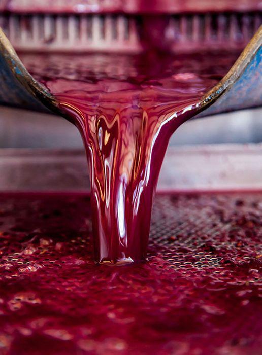 foodphotographycontest_006