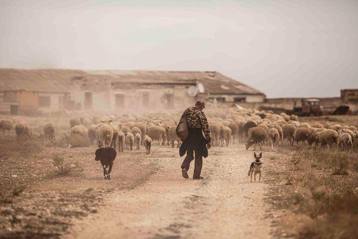 foodphotographycontest_013