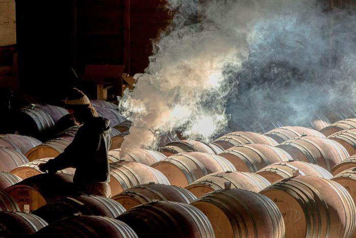 foodphotographycontest_015