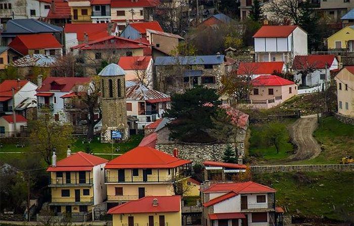 greecechurch100yrtree_005