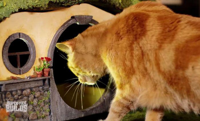hobbitlitterbox_011 hobbitlitterbox_011