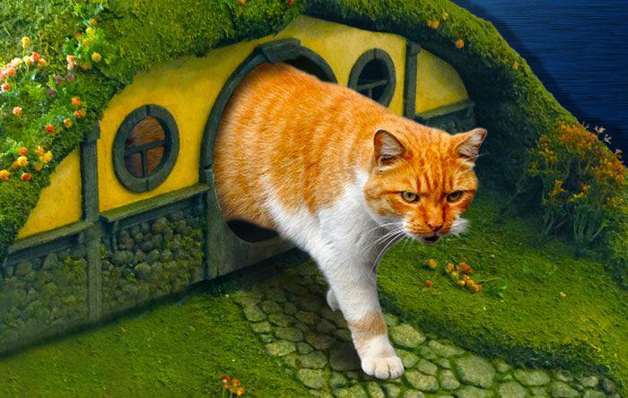 hobbitlitterbox_016 hobbitlitterbox_016