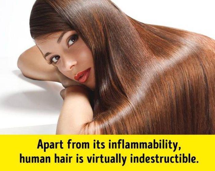 humanbodyfacts_1_002
