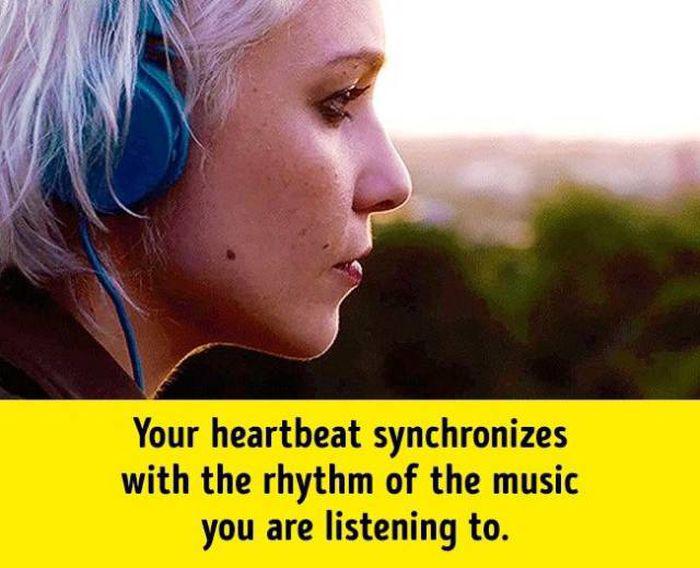 humanbodyfacts_1_007