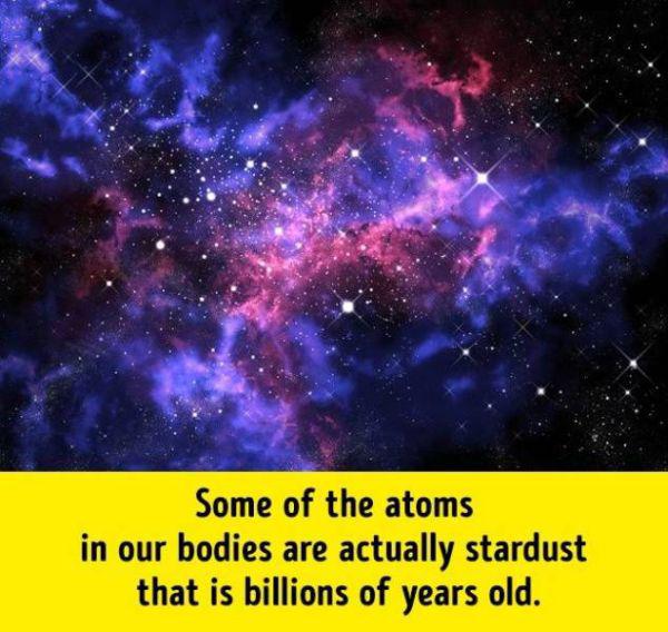 humanbodyfacts_1_008