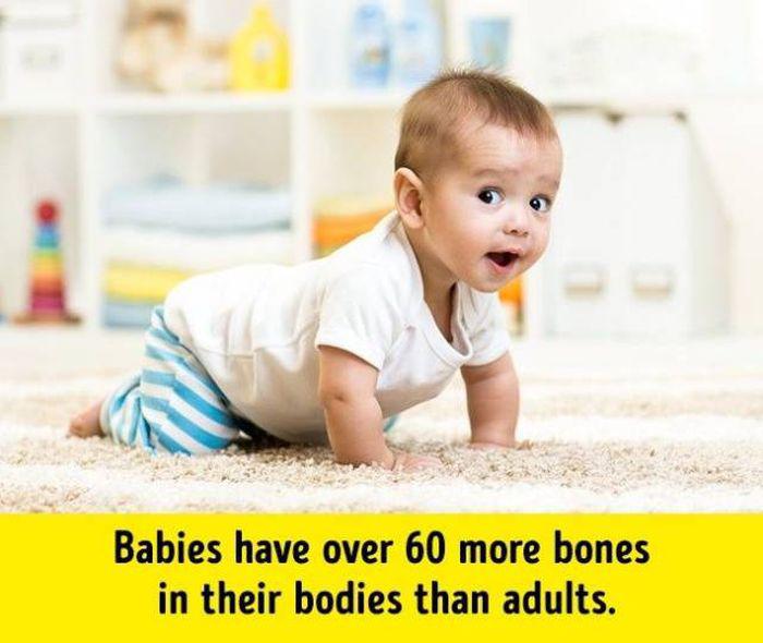 humanbodyfacts_1_009