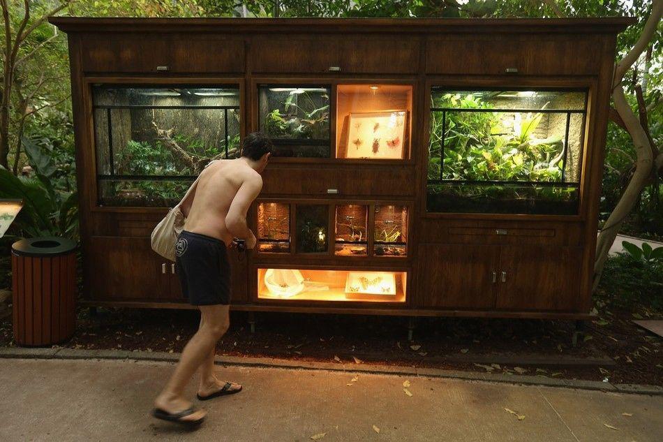 indoorbeachresort_010