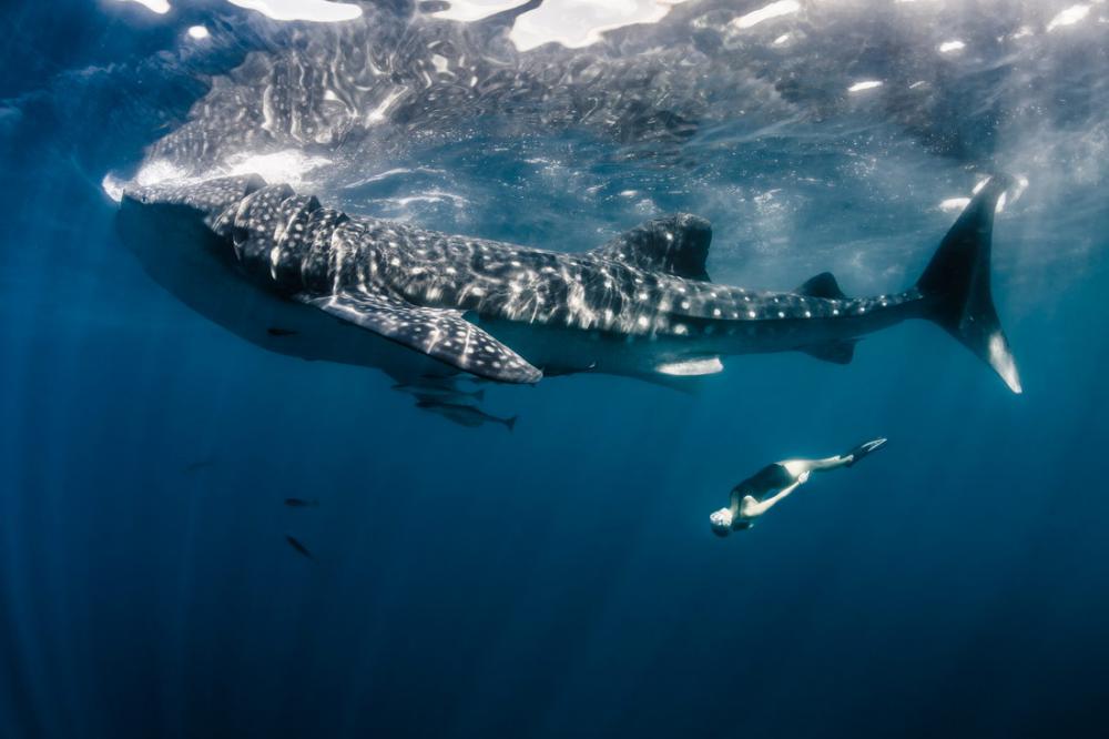 modelunderwatershoot_016