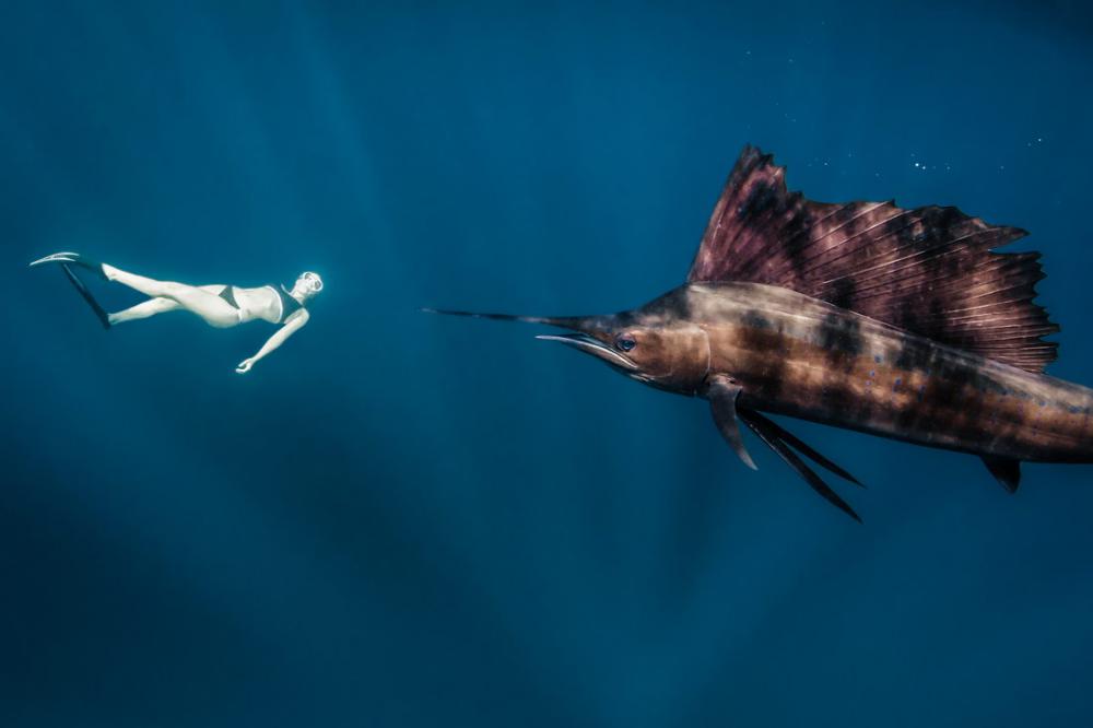 modelunderwatershoot_019