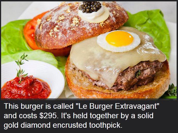 mostexpensivethings_002