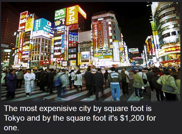 mostexpensivethings_005