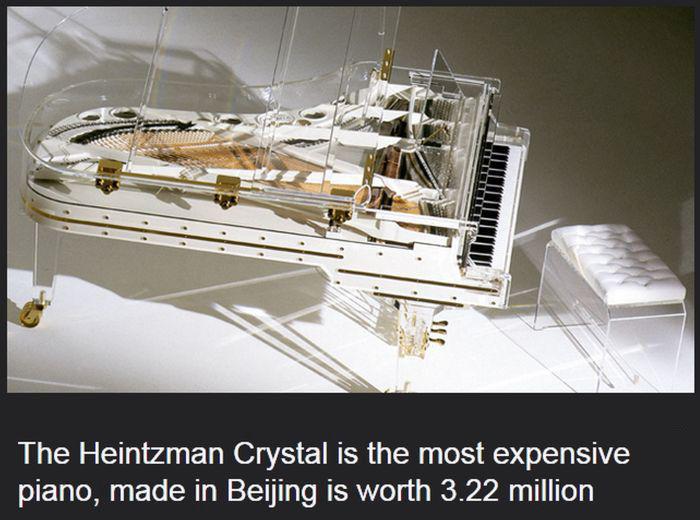 mostexpensivethings_008