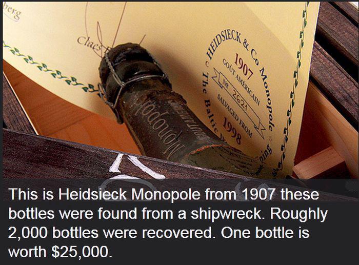 mostexpensivethings_012