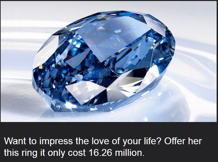 mostexpensivethings_018