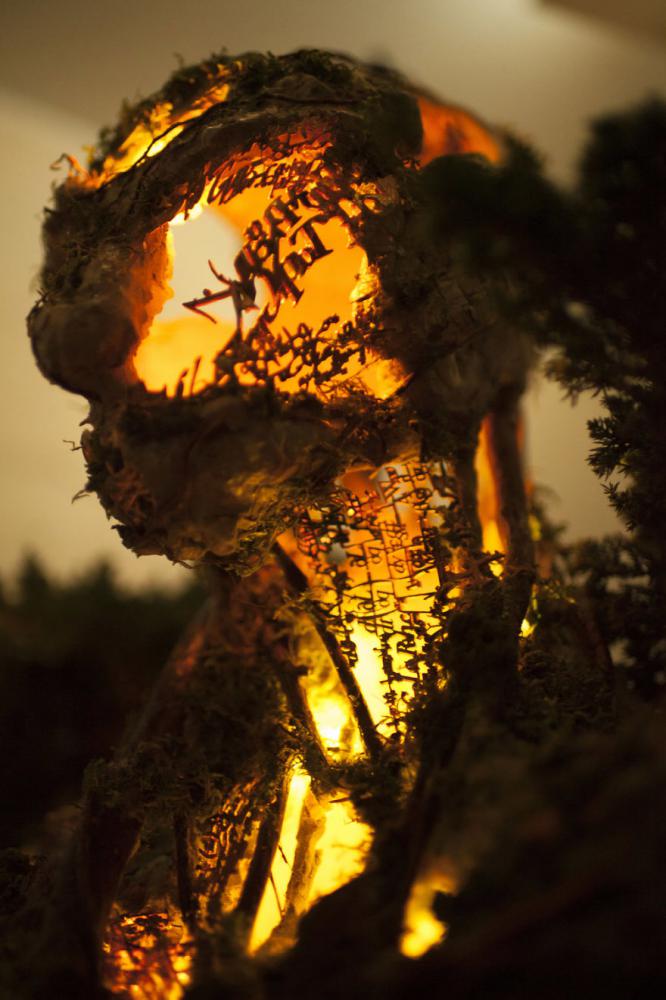 naturetechprotector_003