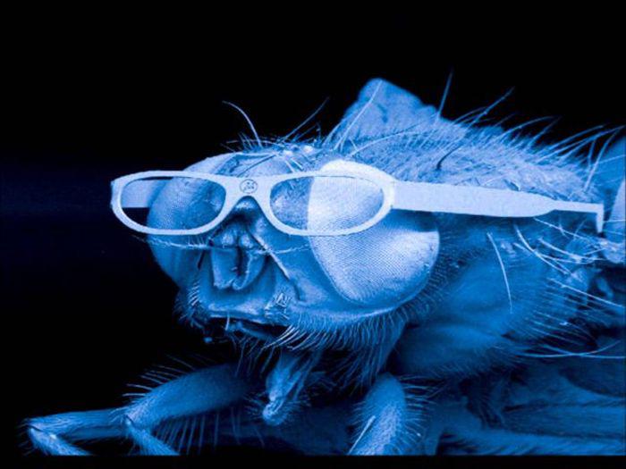 notphotoshopped2_021