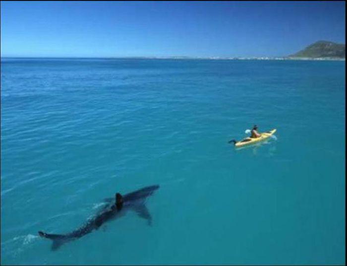 notphotoshopped2_040