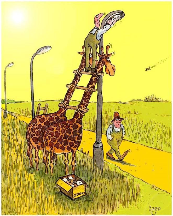 randoms_072