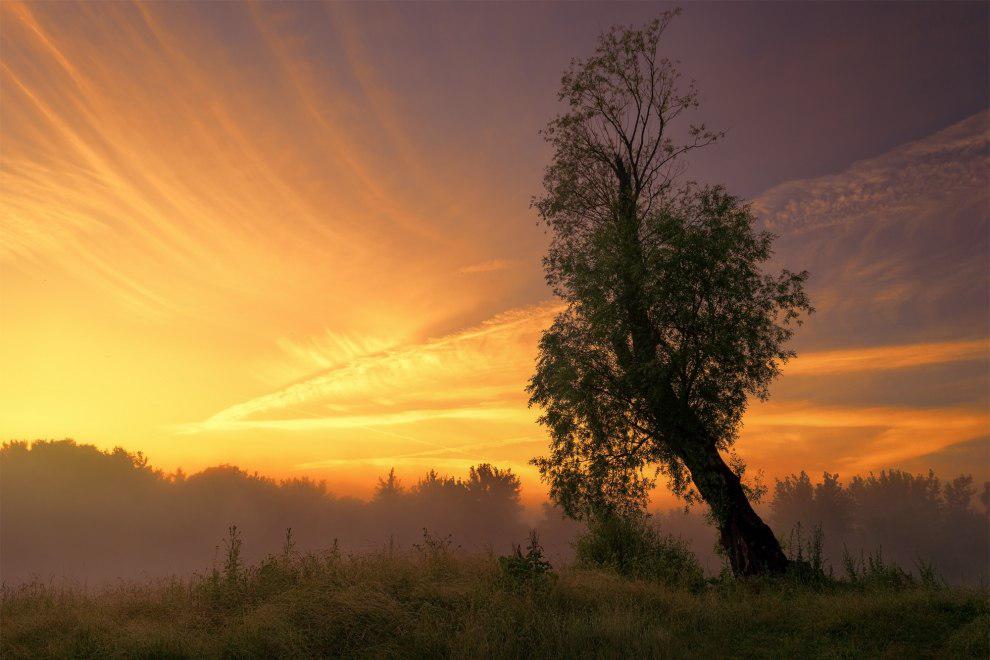 randompics194_144