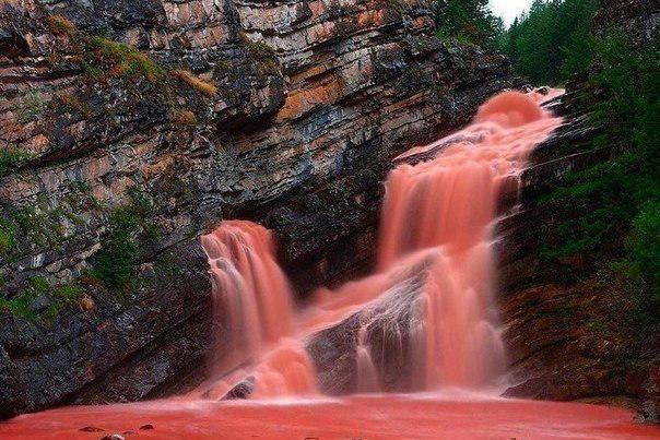 randompics196_082
