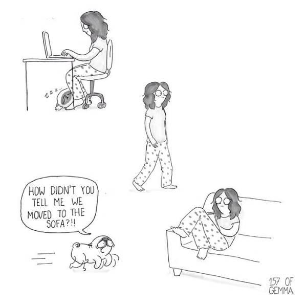 reallifedogcomic_001