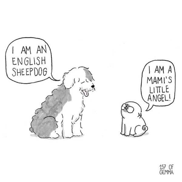 reallifedogcomic_002