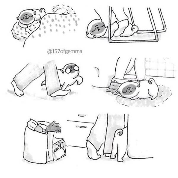 reallifedogcomic_004