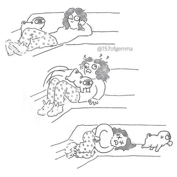 reallifedogcomic_006