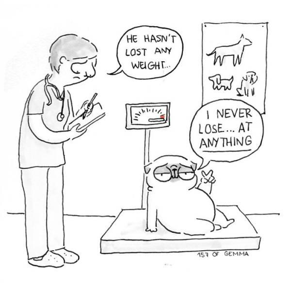 reallifedogcomic_037