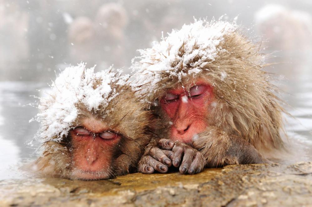 sienainternationalphotoaward_002