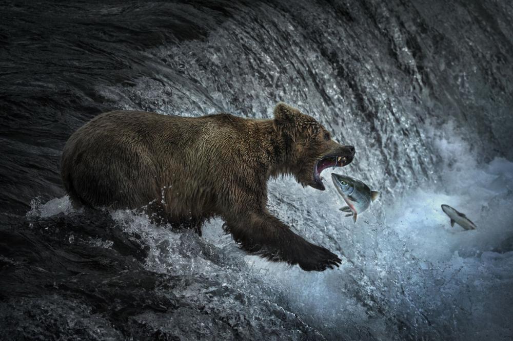 sienainternationalphotoaward_007