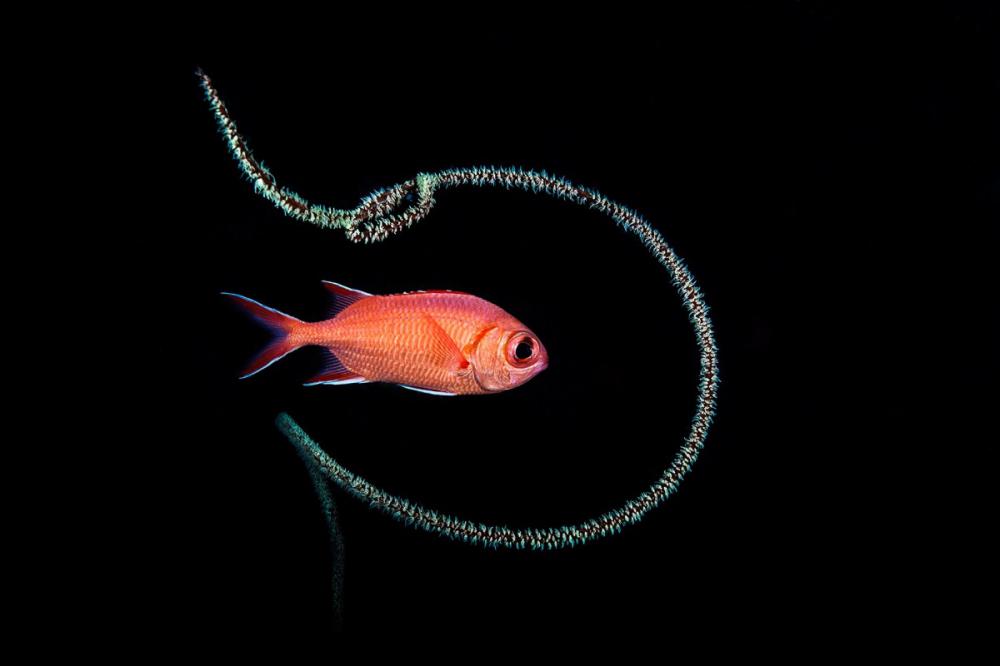 sienainternationalphotoaward_036