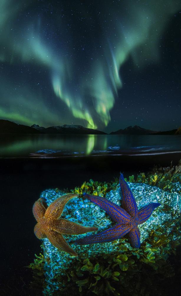 sienainternationalphotoaward_045