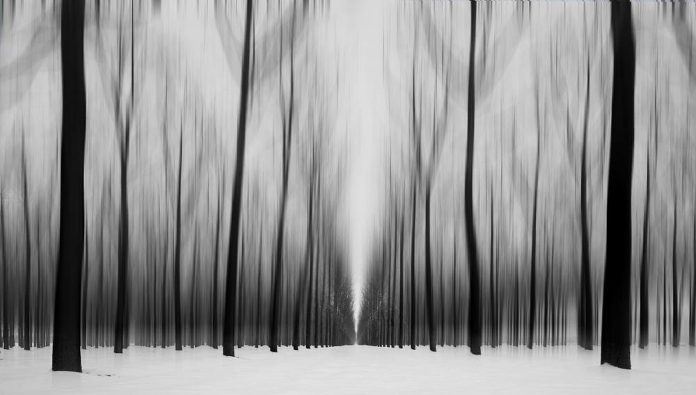 sienainternationalphotoaward_053