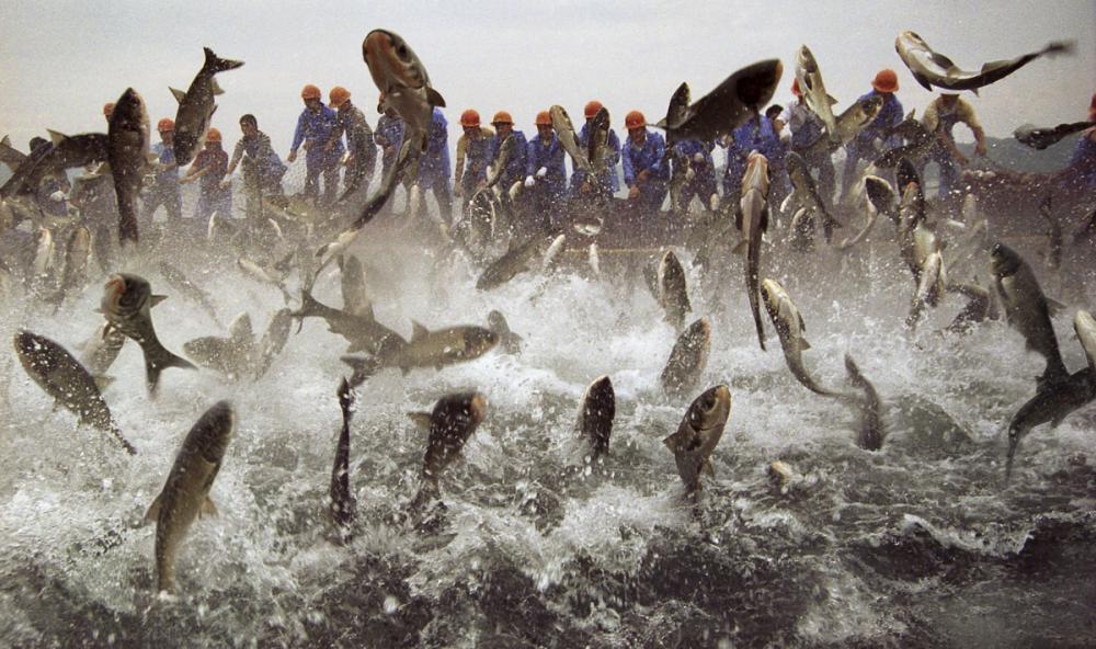 sienainternationalphotoaward_055