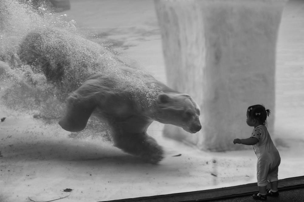 sienainternationalphotoaward_057