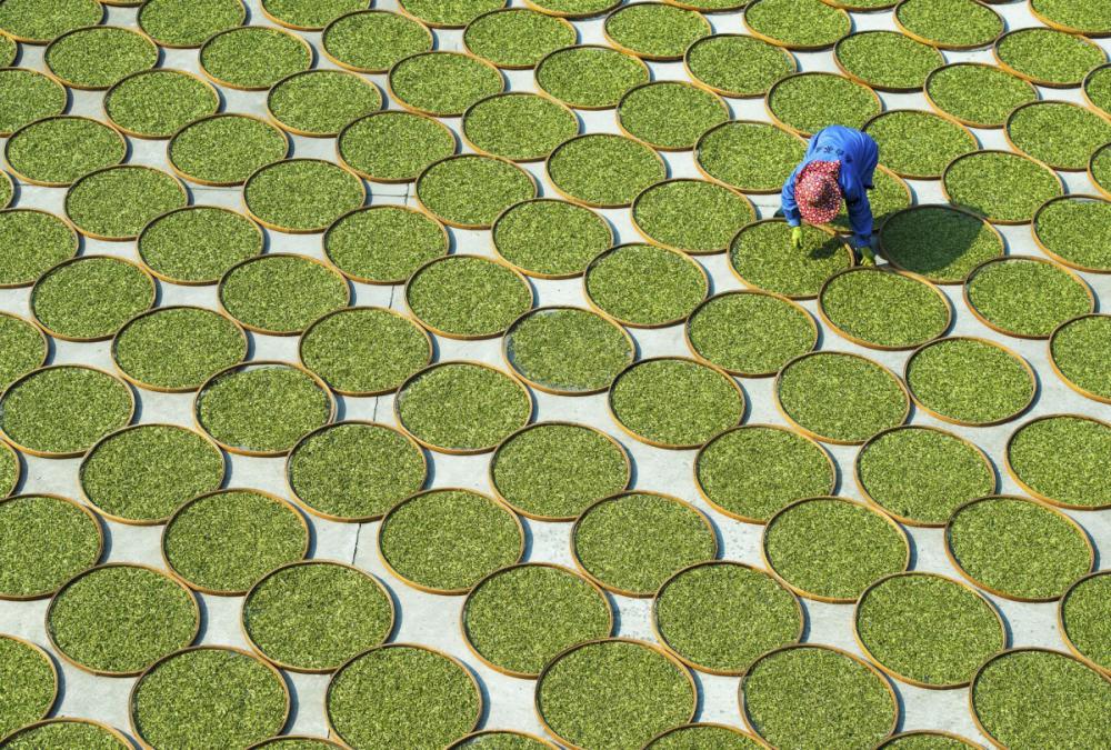 sienainternationalphotoaward_062