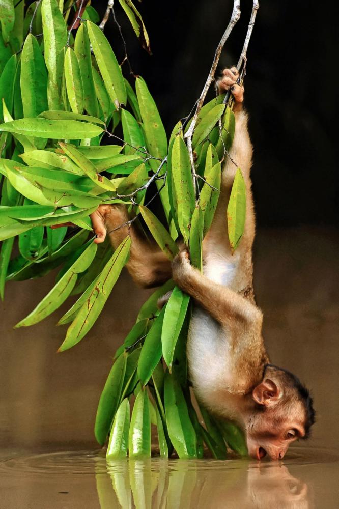 sienainternationalphotoaward_070