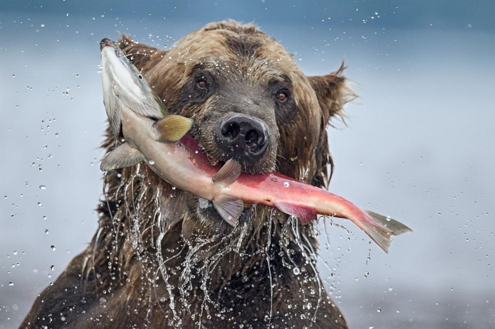 sienainternationalphotoaward_071