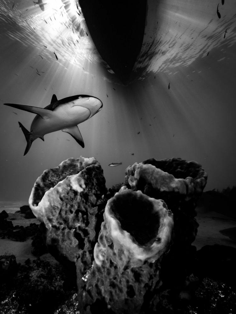 sienainternationalphotoaward_073