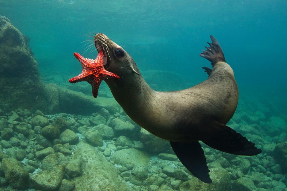 sienainternationalphotoaward_075