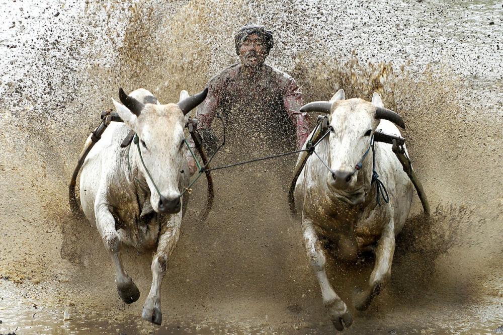 sienainternationalphotoaward_082