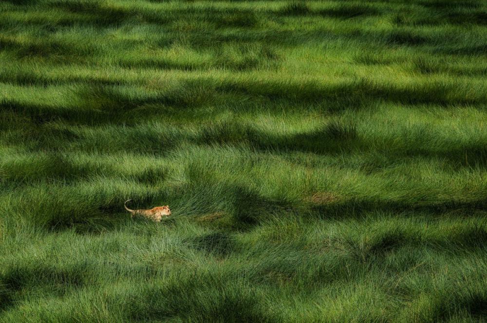 sienainternationalphotoaward_083