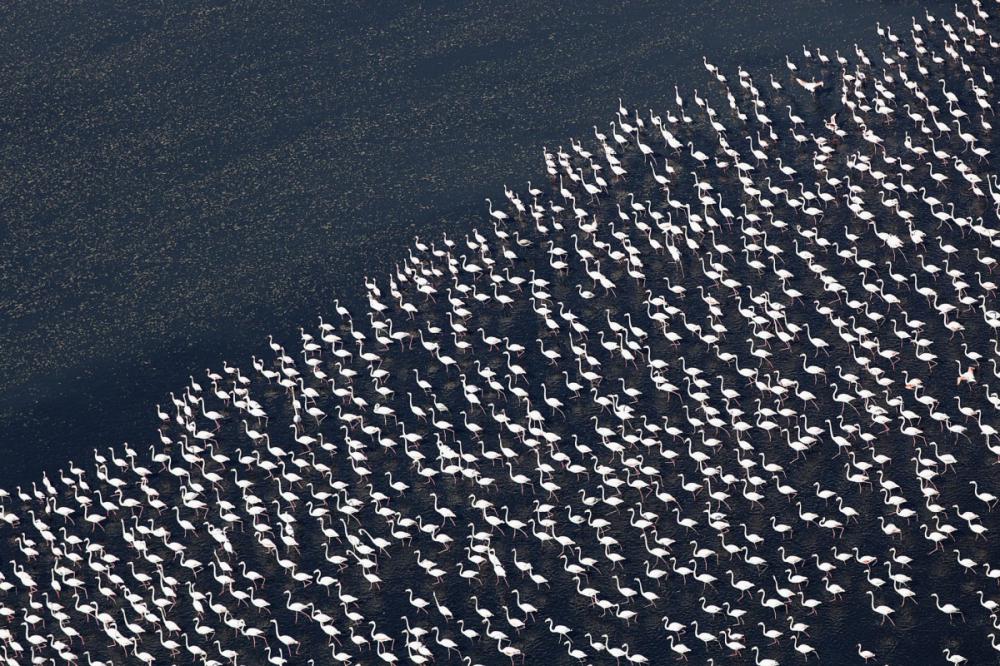 sienainternationalphotoaward_089