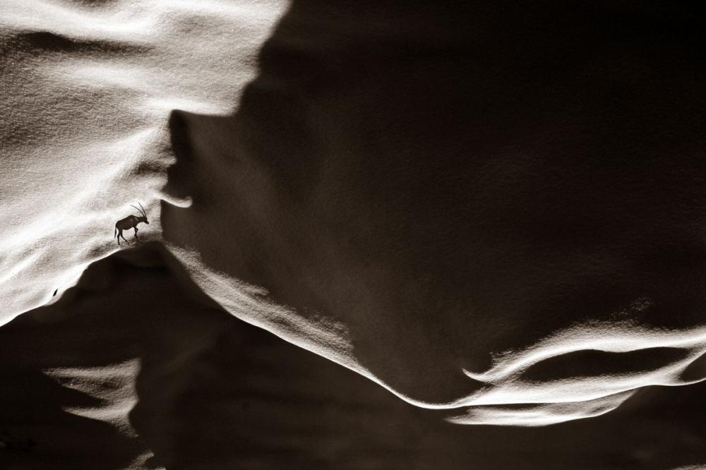 sienainternationalphotoaward_095