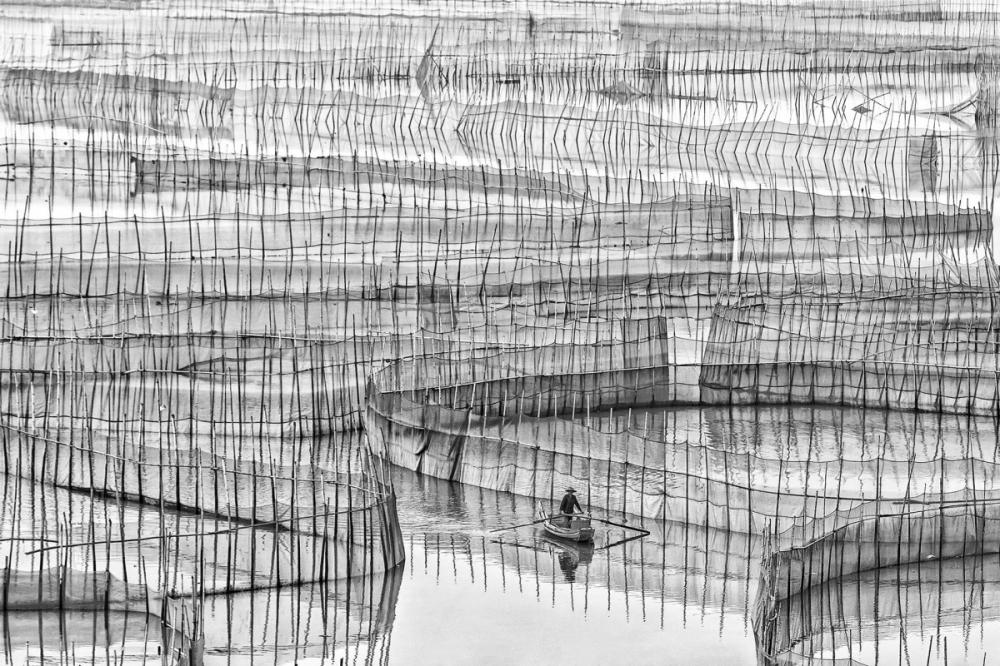 sienainternationalphotoaward_097